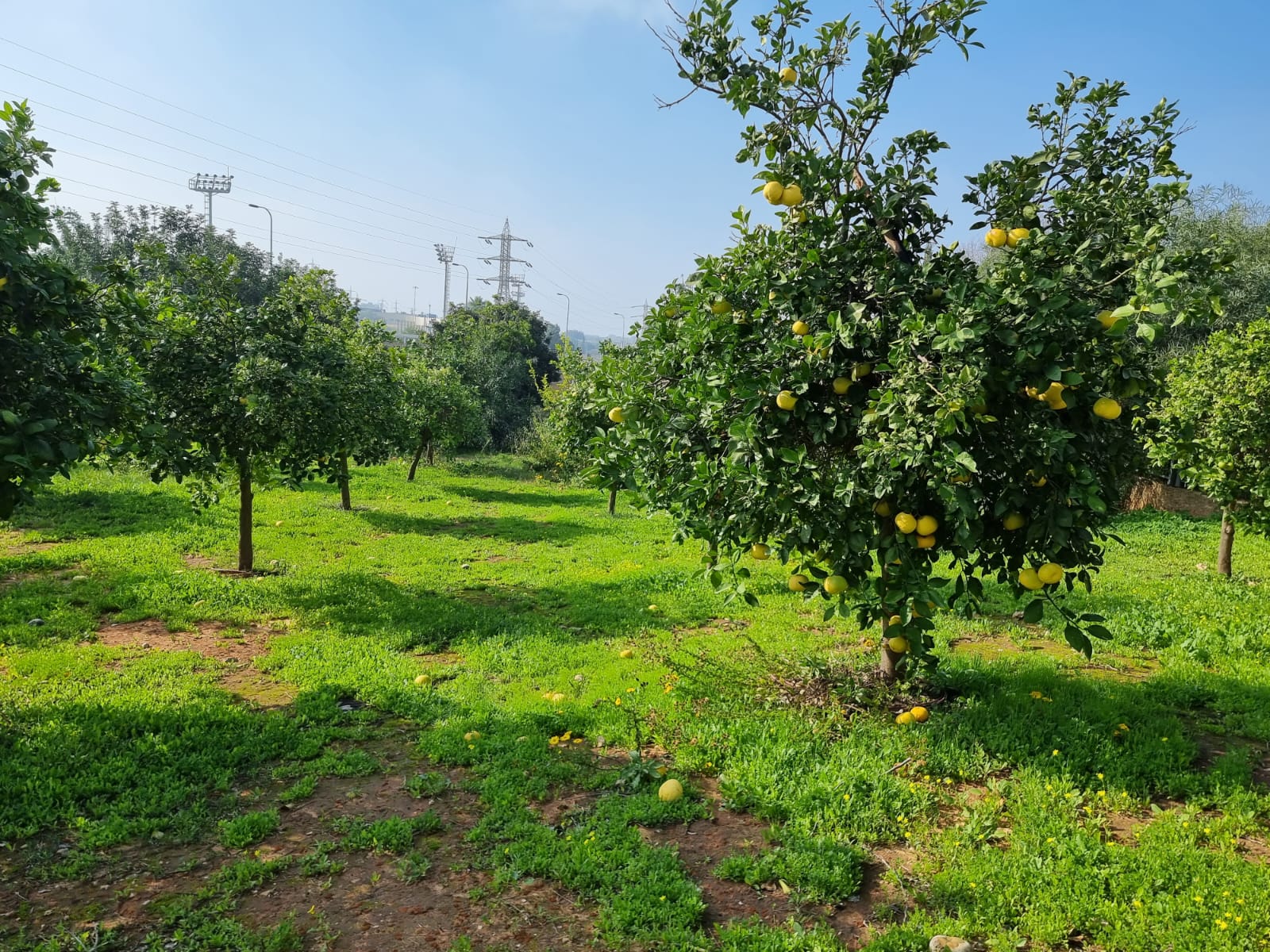 WhatsApp Image 2022-01-08 at 1.29.42 PM (2).jpeg